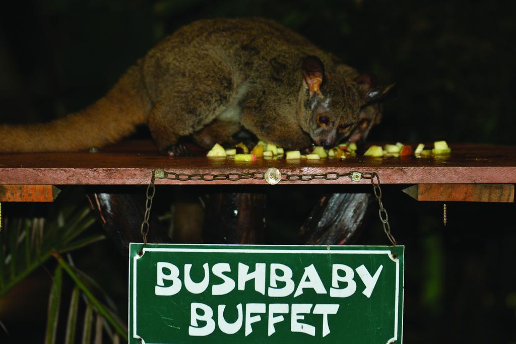 Gooderson Bushlands Game Lodge Hluhluwe Luaran gambar