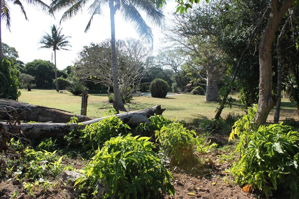 Gooderson Bushlands Game Lodge Hluhluwe Luaran gambar
