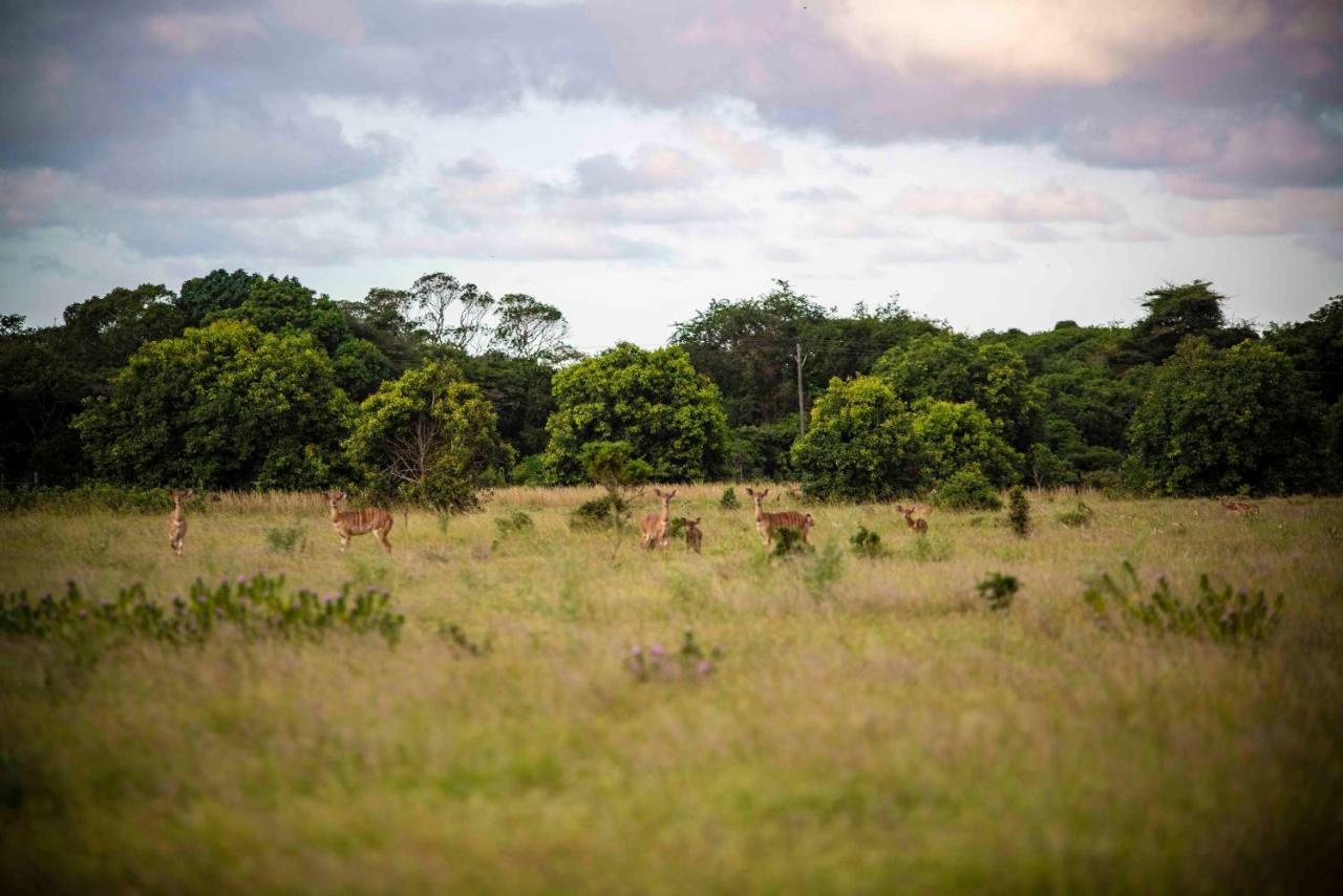 Gooderson Bushlands Game Lodge Hluhluwe Luaran gambar