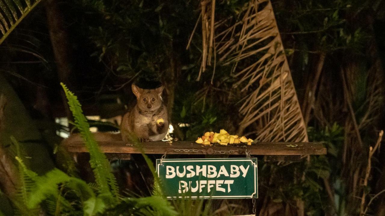 Gooderson Bushlands Game Lodge Hluhluwe Luaran gambar